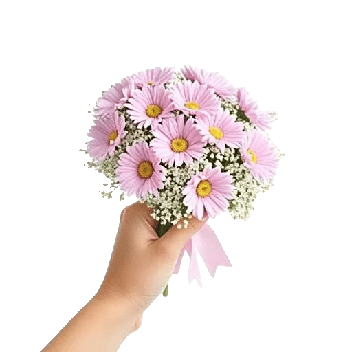 Pastel Pink Roses