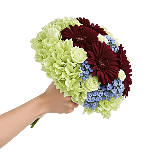 Serene Petal Harmony