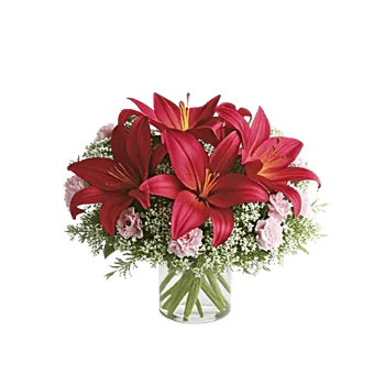 Crimson Lily Glow