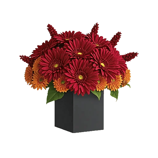 Crimson Blossom Harmony