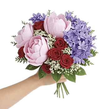 Peony Petal Harmony