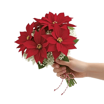 Delicate Petal Cascade