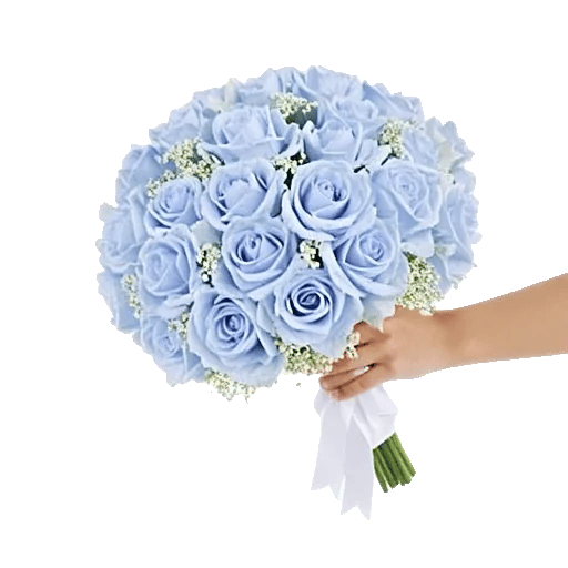 Serene Petal Harmony