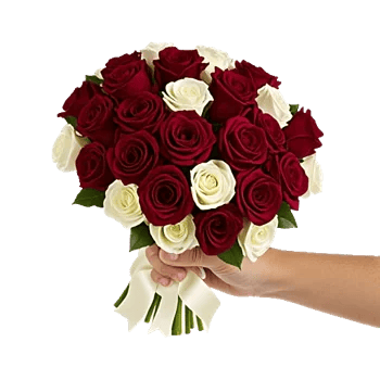 Crimson Rose Elegance