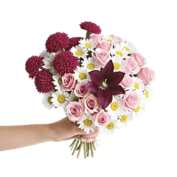 Blossom Harmony Display