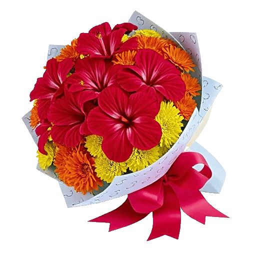 Blushing Rose Symphony