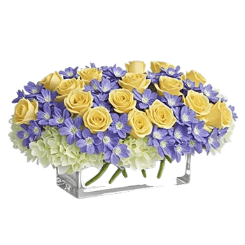 Delicate Petal Cascade