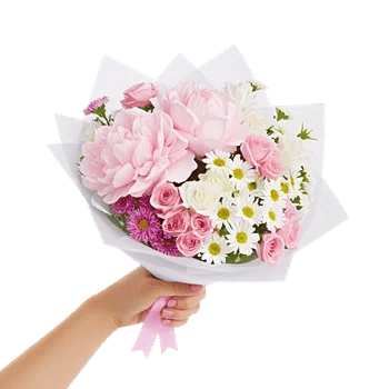Peony Petal Harmony