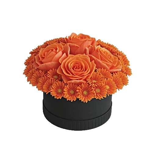 Petal Radiance Bliss