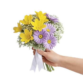 Blossom Petal Serenity