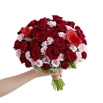 Crimson Rose Elegance