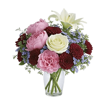 Petal Radiance Bliss