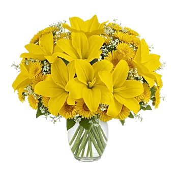 Graceful Lily Display