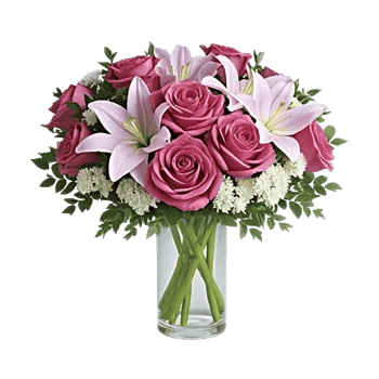 Ivory Blossom Radiance