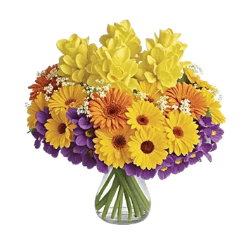 Petal Radiance Bliss