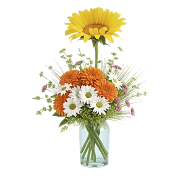 Radiant Bloom Cascade