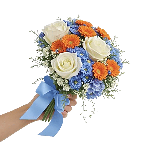 Serene Petal Harmony