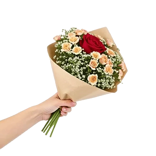 Crimson Rose Elegance