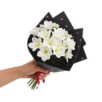 Modern White Orchids