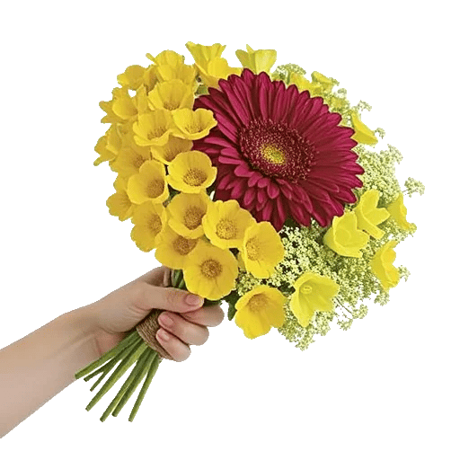 Crimson Rose Elegance