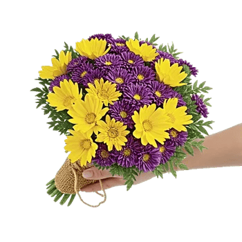 Coral Blossom Harmony