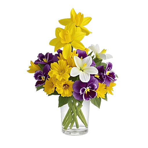 Petal Radiance Bliss