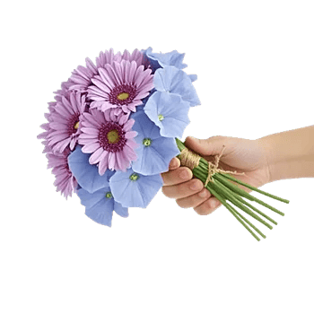 Pastel Blossom Grace