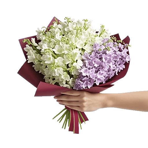 Ivory Blossom Radiance