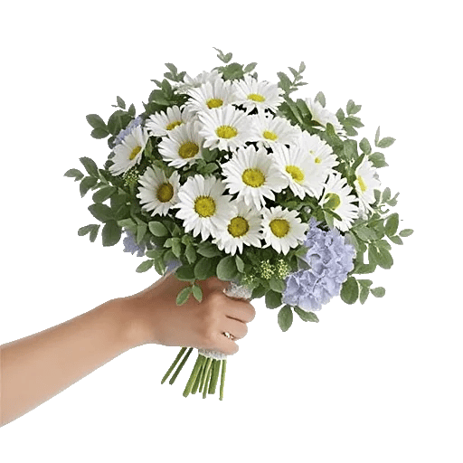 Ivory Garden Grace