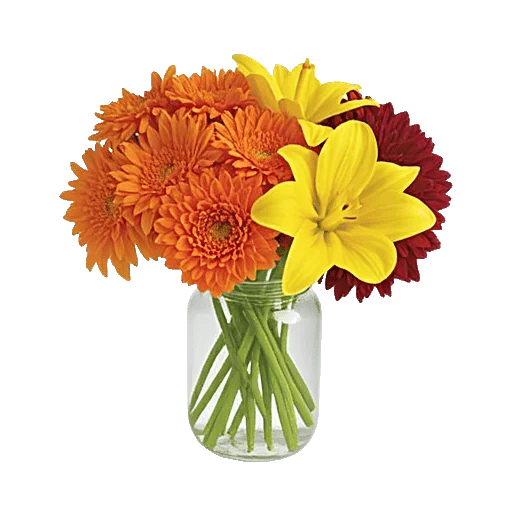 Petal Radiance Bliss