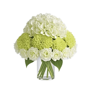 Delicate Petal Cascade