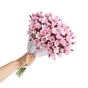 Cherry Blossom Magic