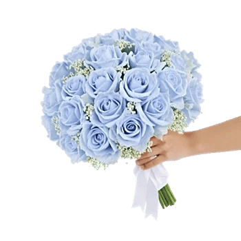 Serene Petal Harmony