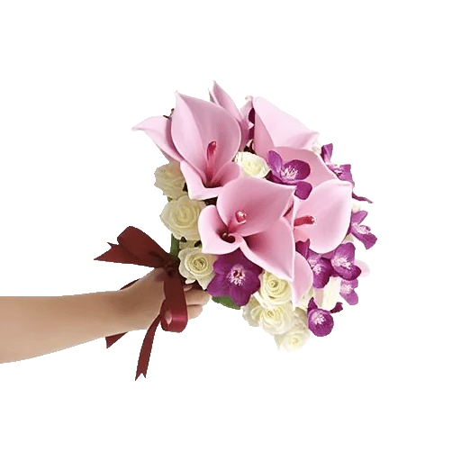 Elegant Calla Lilies