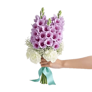 Blossom Petal Serenity