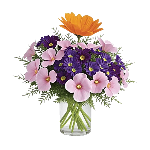 Petal Radiance Bliss