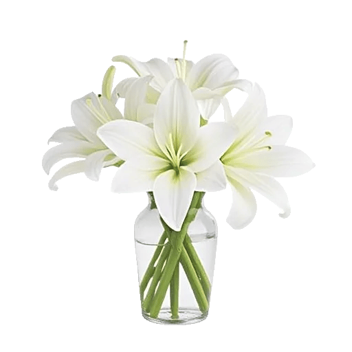Graceful Lily Display