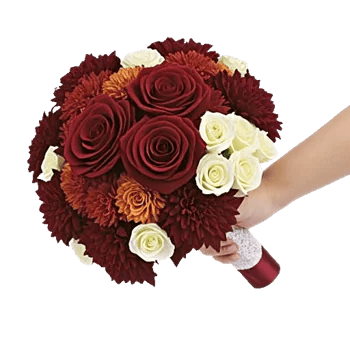 Blushing Rose Symphony
