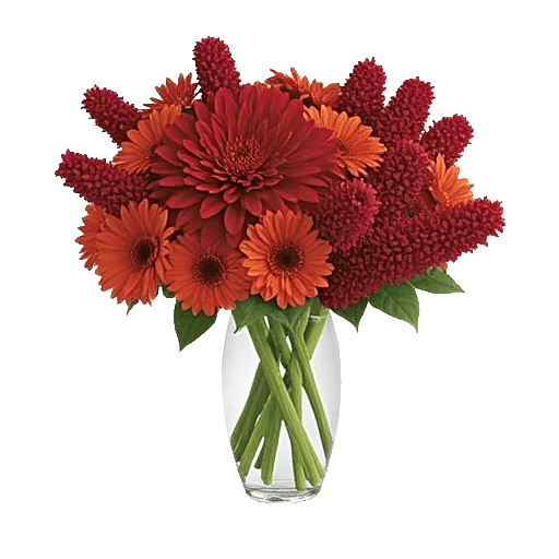 Crimson Blossom Harmony