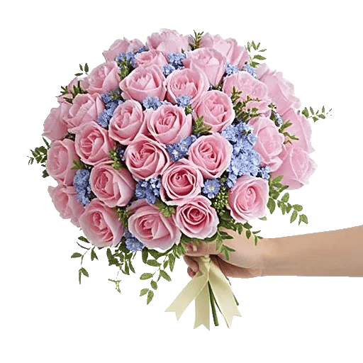 Peony Petal Harmony