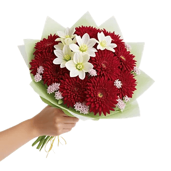 Blossom Harmony Display