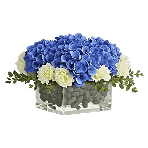 Sapphire Bloom Whisper