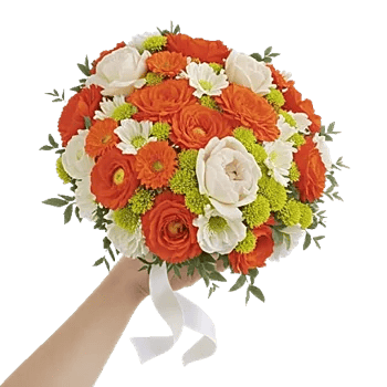 Petal Radiance Bliss