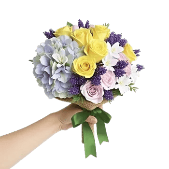 Serene Petal Harmony