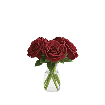 Crimson Rose Elegance