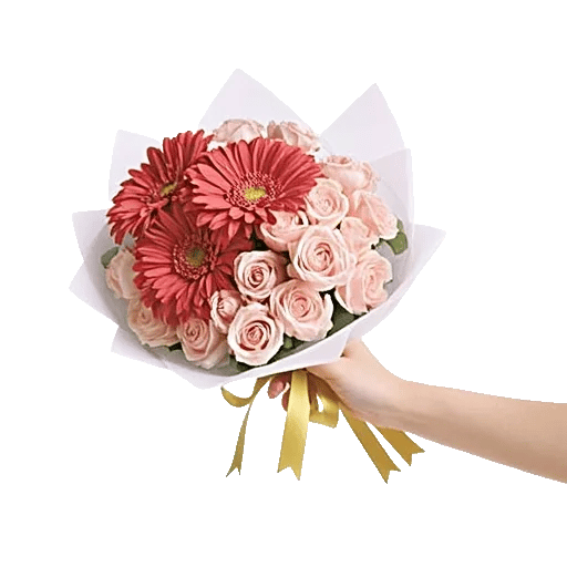 Coral Blossom Harmony