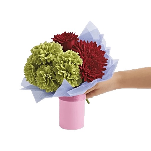 Petal Harmony Bliss