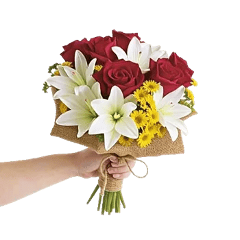 Crimson Rose Elegance