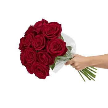 Crimson Rose Elegance