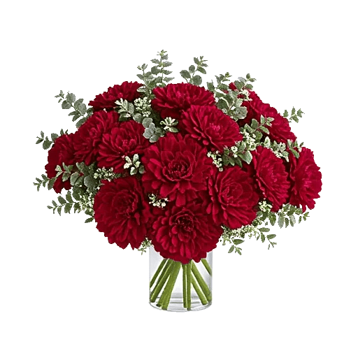 Crimson Blossom Harmony